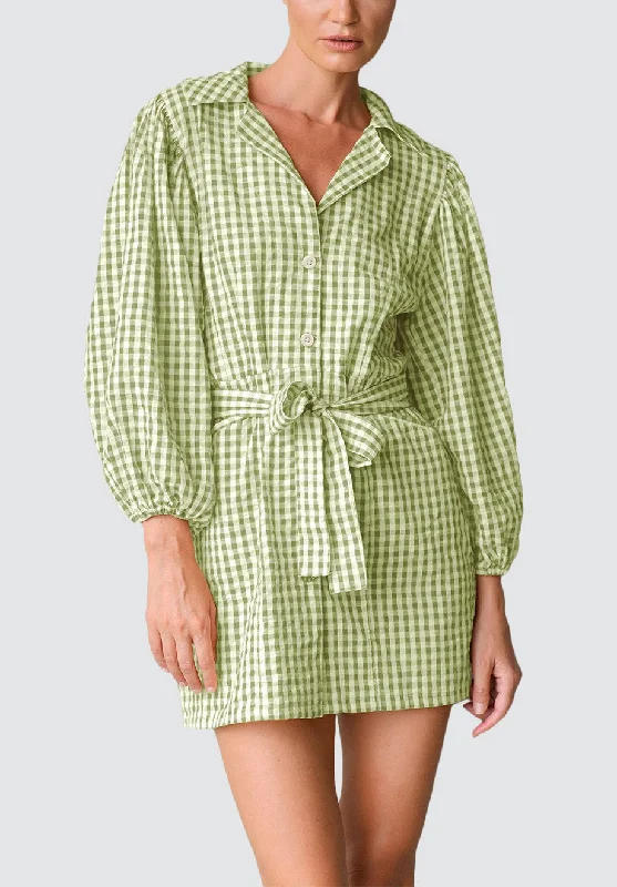 Meghan Mini Gingham Dress Trendy A-Line Mini Dress